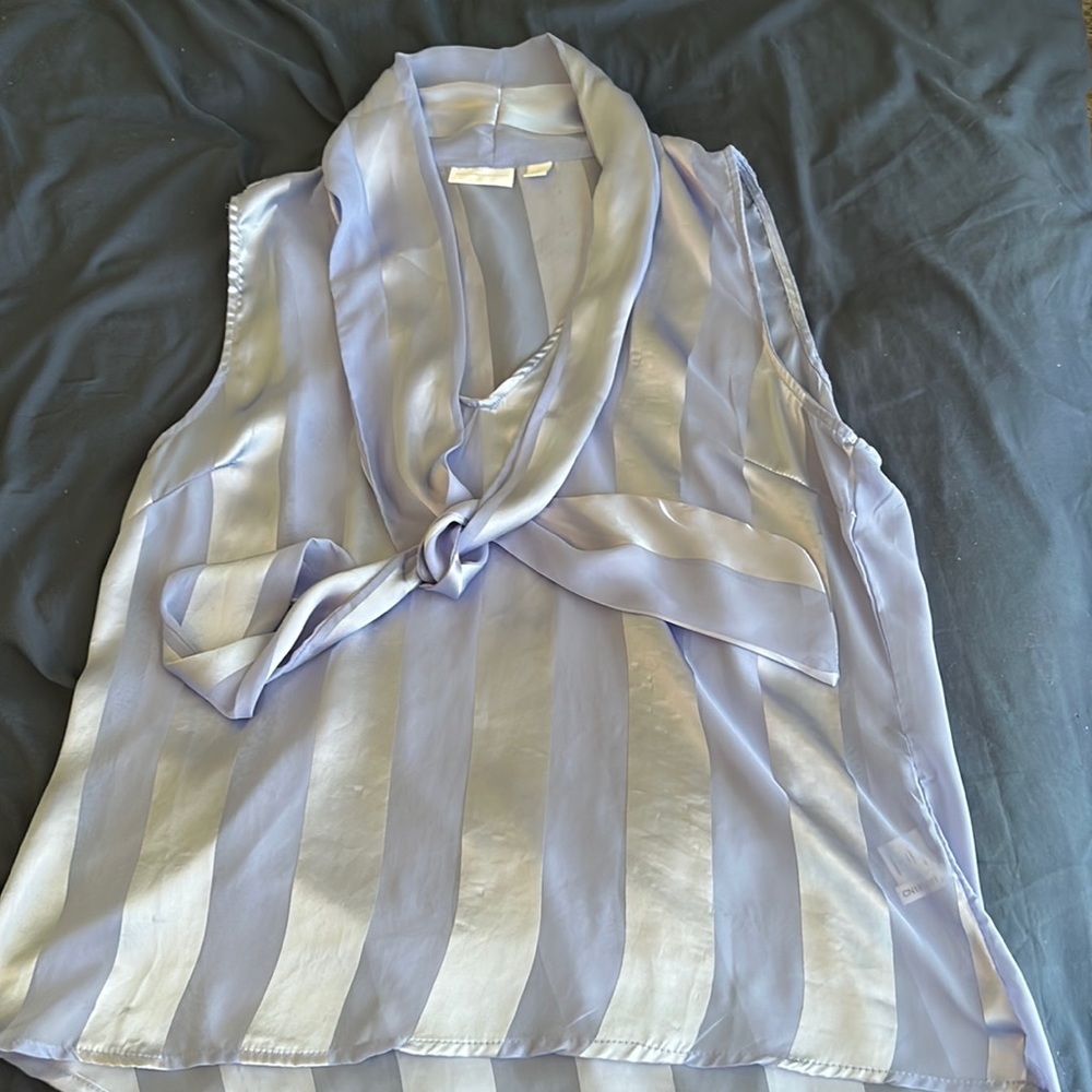 Sheer Blue Top